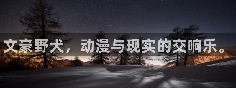 囧次元动漫app：文豪野犬，动漫与现实的交响乐。