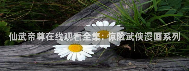 囧次元苹果版官方网站入口：仙武帝尊在线观看全集: 惊险武侠漫画系列
