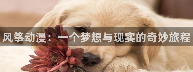 囧次元正版官方下载：风筝动漫：一个梦想与现实的奇妙旅程