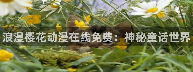 囧次元官网入口网址：浪漫樱花动漫在线免费：神秘童话世界
