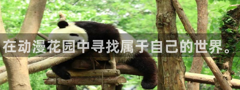 囧次元纯净版正版官网入口：在动漫花园中寻找属于自己的世界。