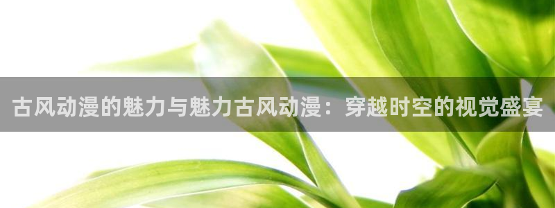 囧次元官方正版app：古风动漫的魅力与魅力古风动漫：穿越时空的视觉盛宴