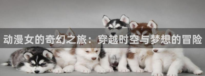 囧次元最新版本：动漫女的奇幻之旅：穿越时空与梦想的冒险