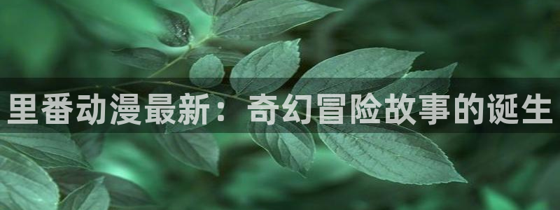 囧次元官方网站：里番动漫最新：奇幻冒险故事的诞生
