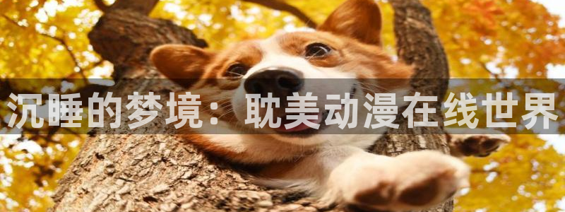 囧次元官方网站ios版本：沉睡的梦境：耽美动漫在线世界