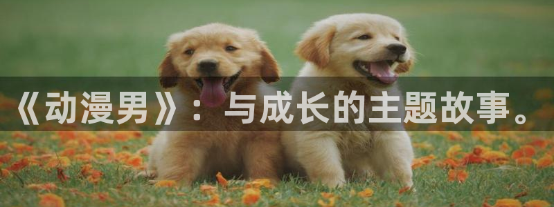 com.囧次元.www：《动漫男》：与成长的主题故事。