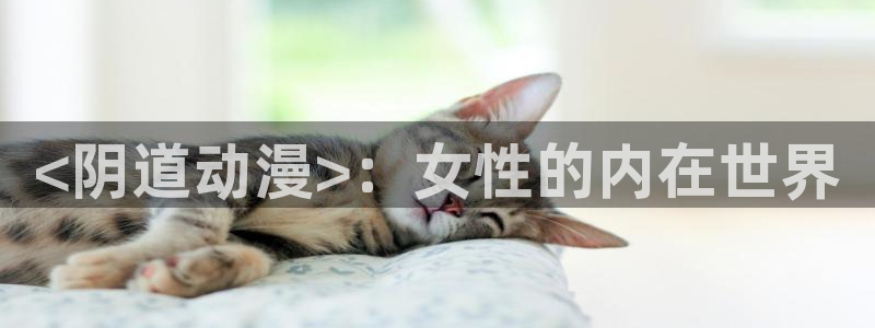 囧次元官方网站入口最新版本：<阴道动漫>：女性的内在世界