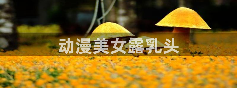 囧次元官方网站网址：动漫美女露乳头